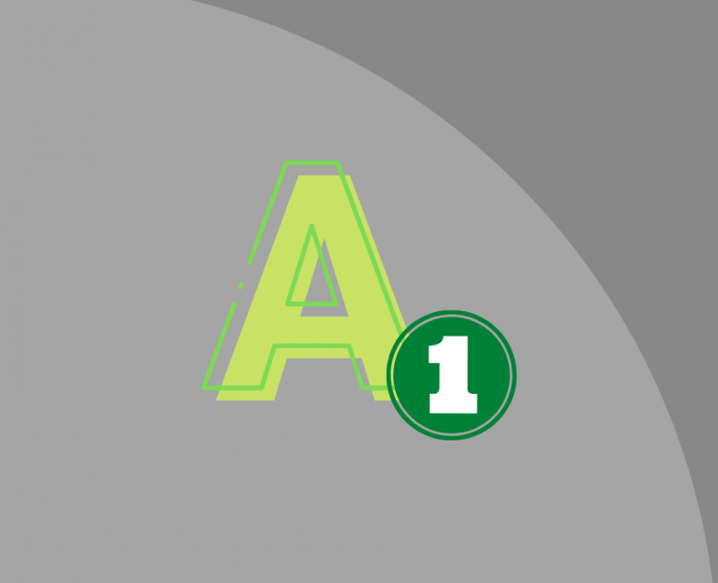 A1