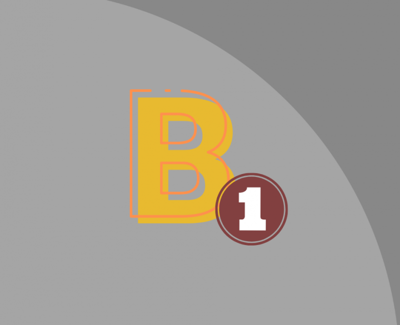 B1